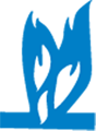 Blue Flame Distributors logo