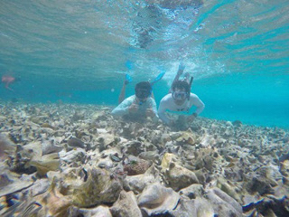 Island Marine photo 3