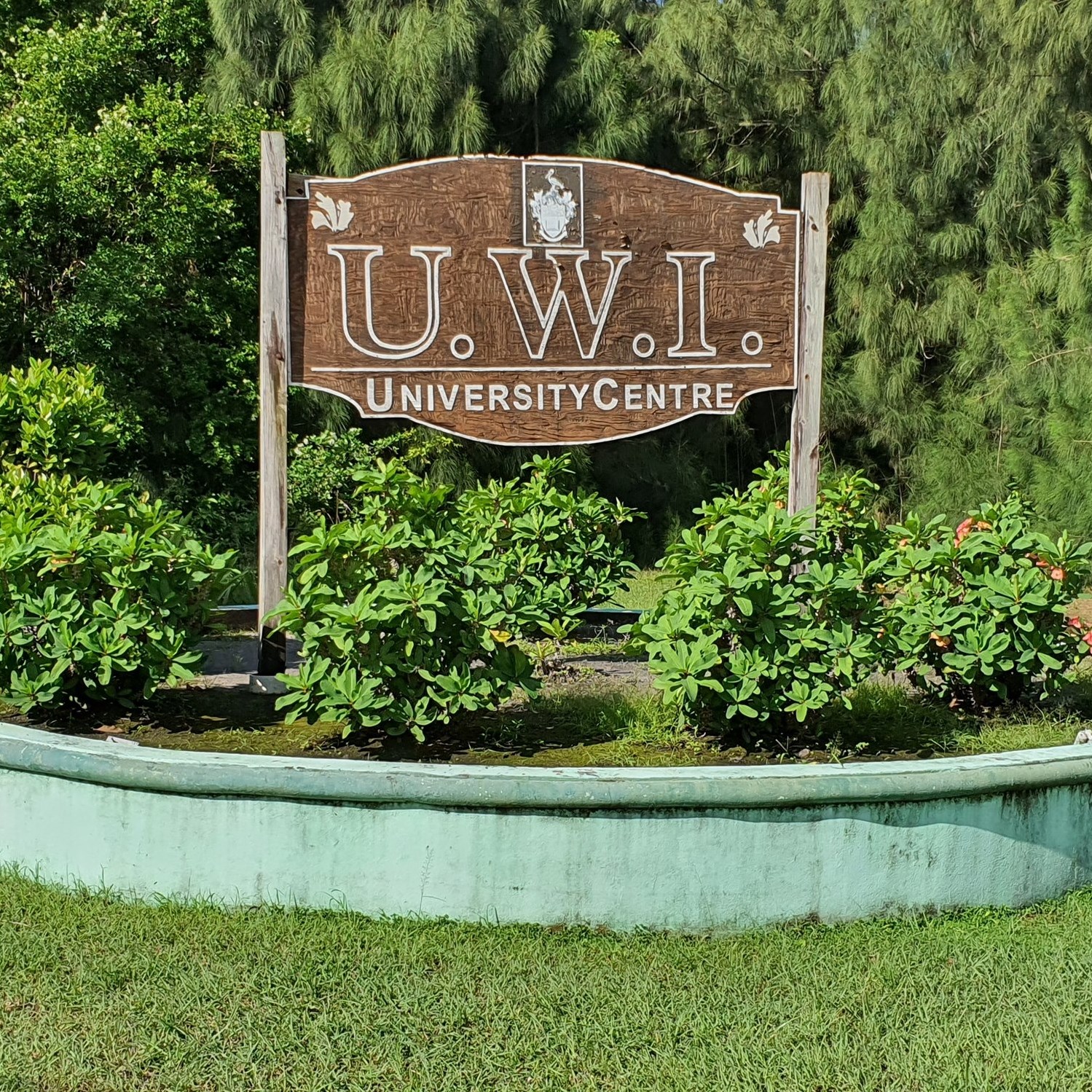 The University of The West Indies Global Campus photo 3