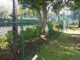 Green's Exterminating & Fencing Inc photo 2