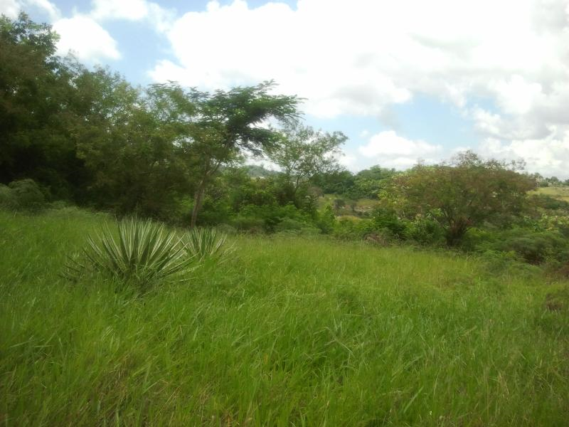 Inez Turner Real Estate Agency Ltd photo 4