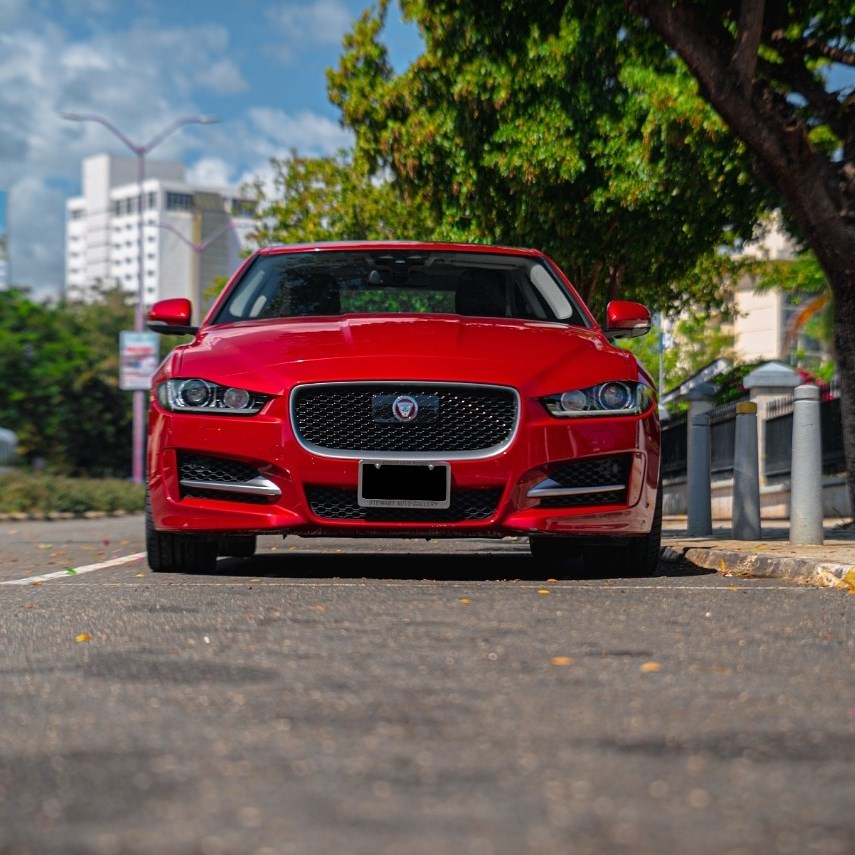 Jaguar photo 9