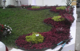 Wallace Landscaping Services photo 9