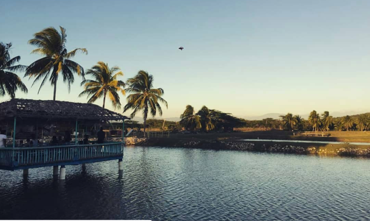 Little Hobby Hut Safari & Fish Farm photo 3