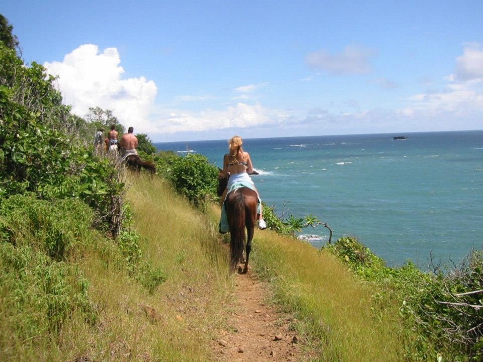 International Pony Club photo 2