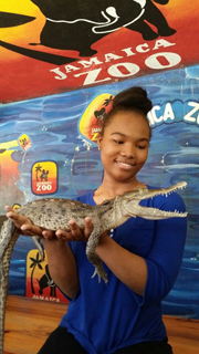 Jamaica Zoo photo 2