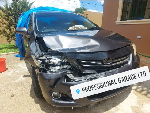 Professional Garage Ltd (Strong) photo 3