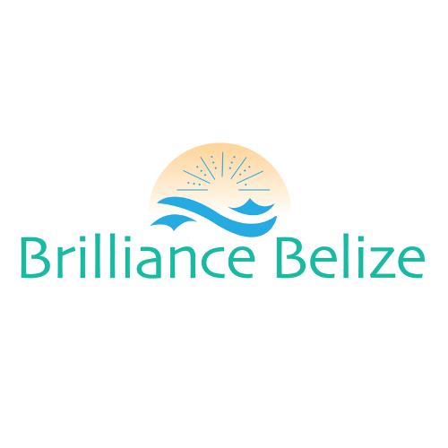 Brilliance Belize Ltd logo