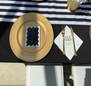 Premier Party Rentals photo 12
