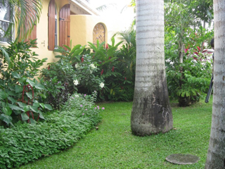 Rain Landscape And Property Development photo 2