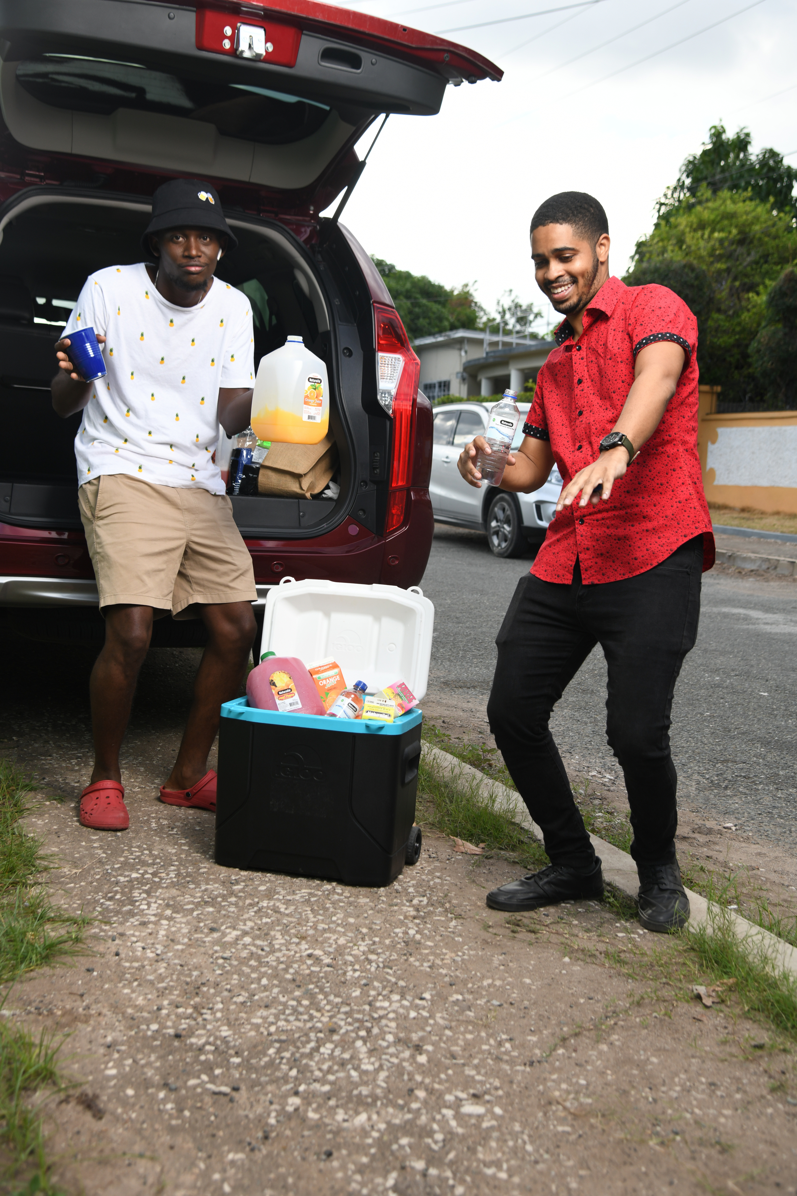 Island Dairies Ltd photo 9