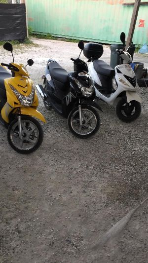 Island Wheels & Rentals photo 3