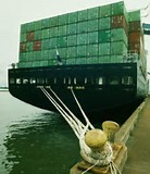 International Shipping Limited photo 2