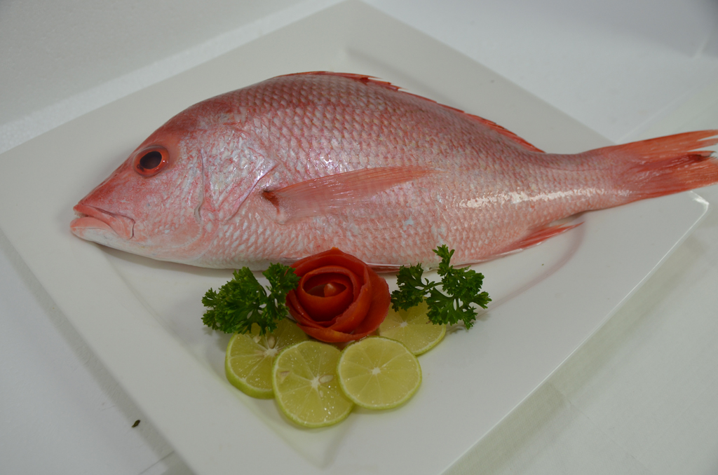 Sea Foods Enterprises Ltd photo 9