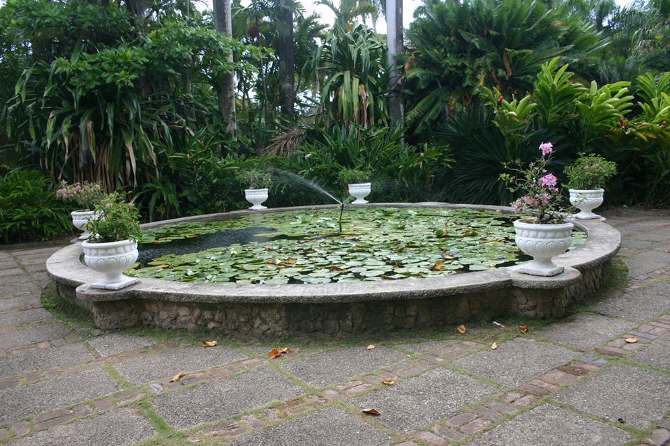 Nature Preservation Foundation photo 3