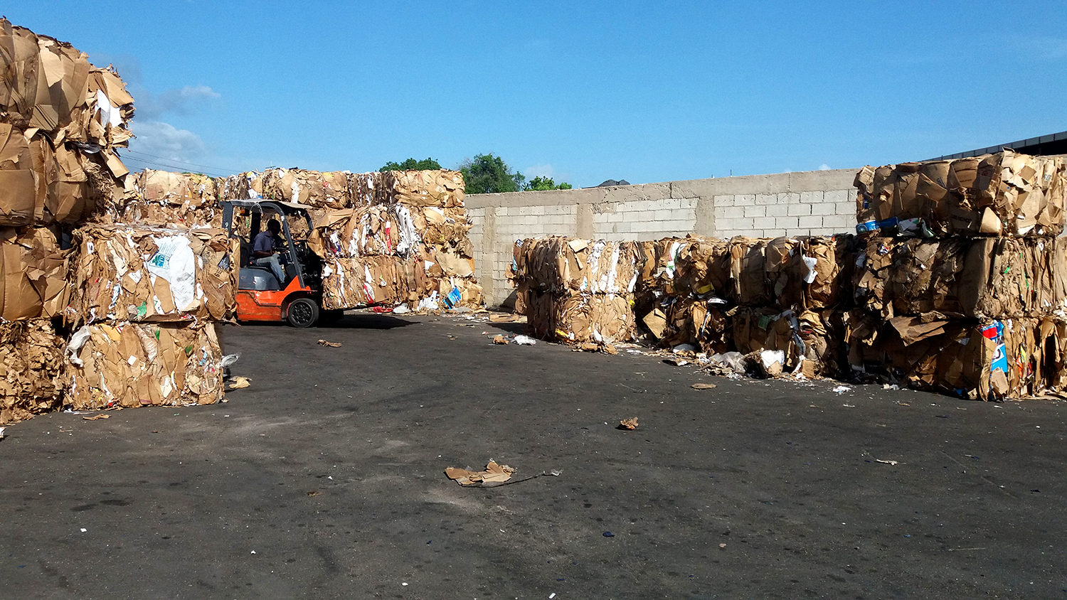 Jamaica Recycles photo 6
