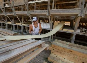 Barbados Lumber Co Ltd photo 7