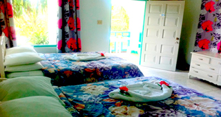 Coral Seas Garden Resort photo 1