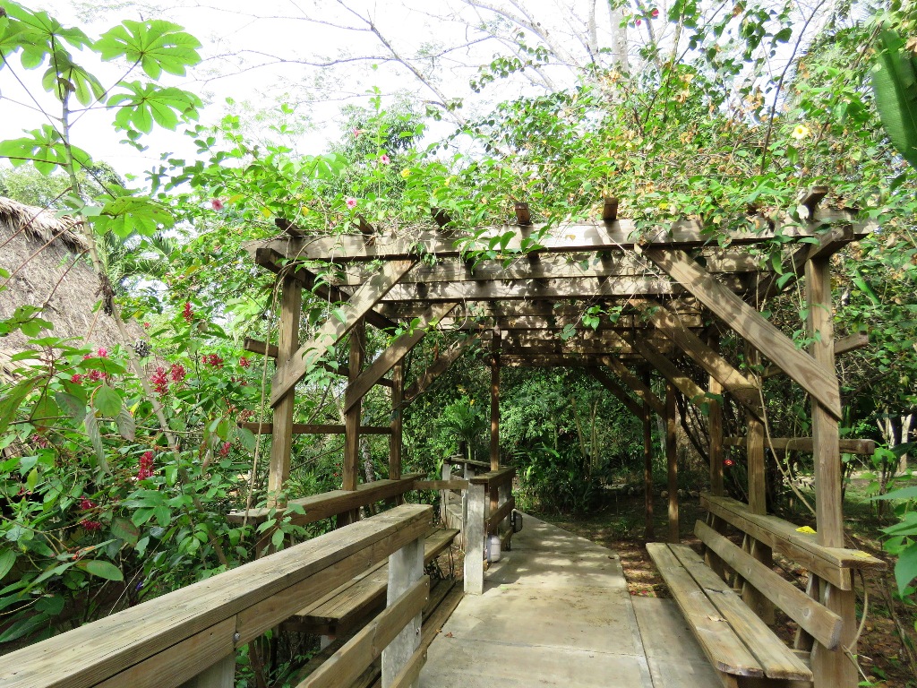 Crystal Paradise Resort photo 3