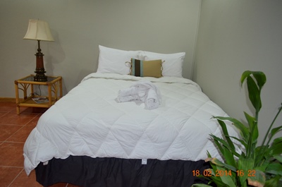 G M Suites Bed & Breakfast photo 4