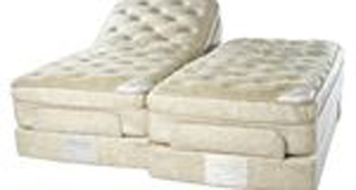 Therapedic Caribbean Co Ltd photo 3