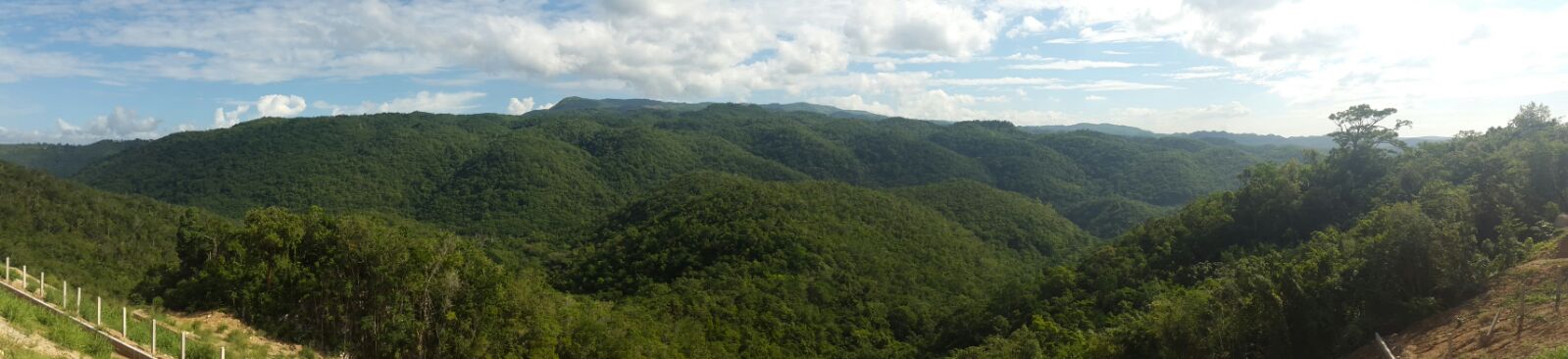Forestry Department photo 9