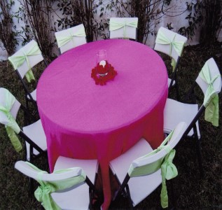 Premier Party Rentals photo 16