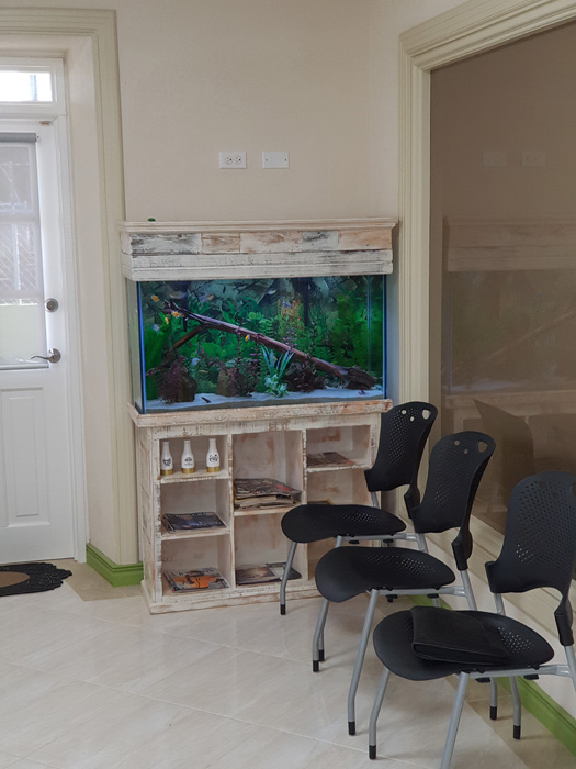 Quick Fix Denture Clinic Inc photo 5