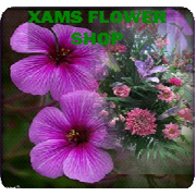 Xams Flowershop logo