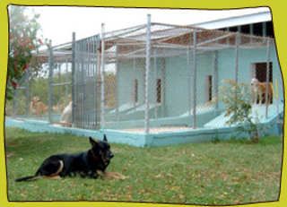 Cayman Pet Paradise Ltd-Cheval Ranch photo 8