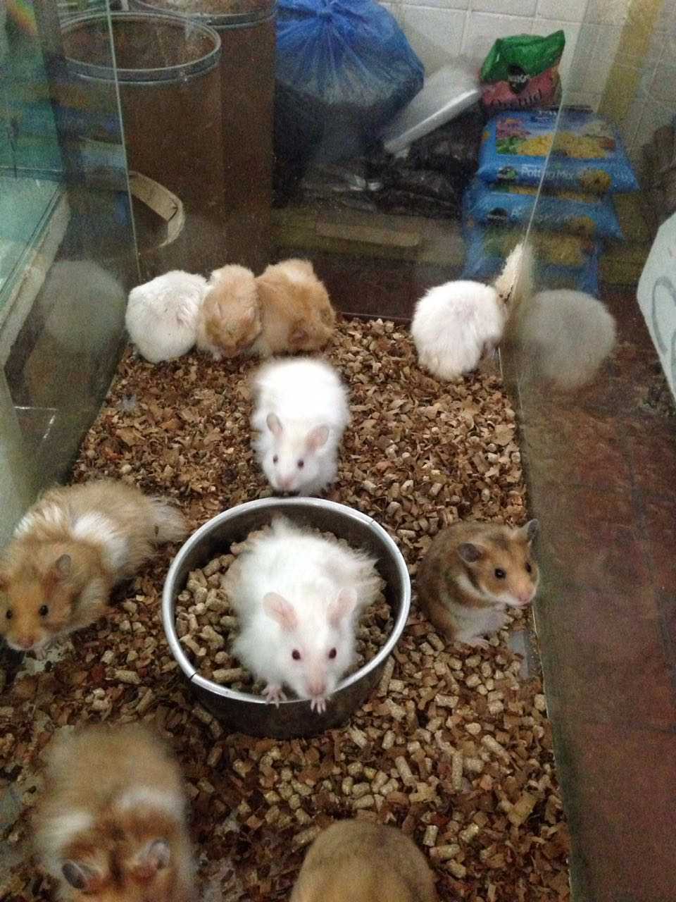 A-One Pet & Agro Supplies Ltd photo 5