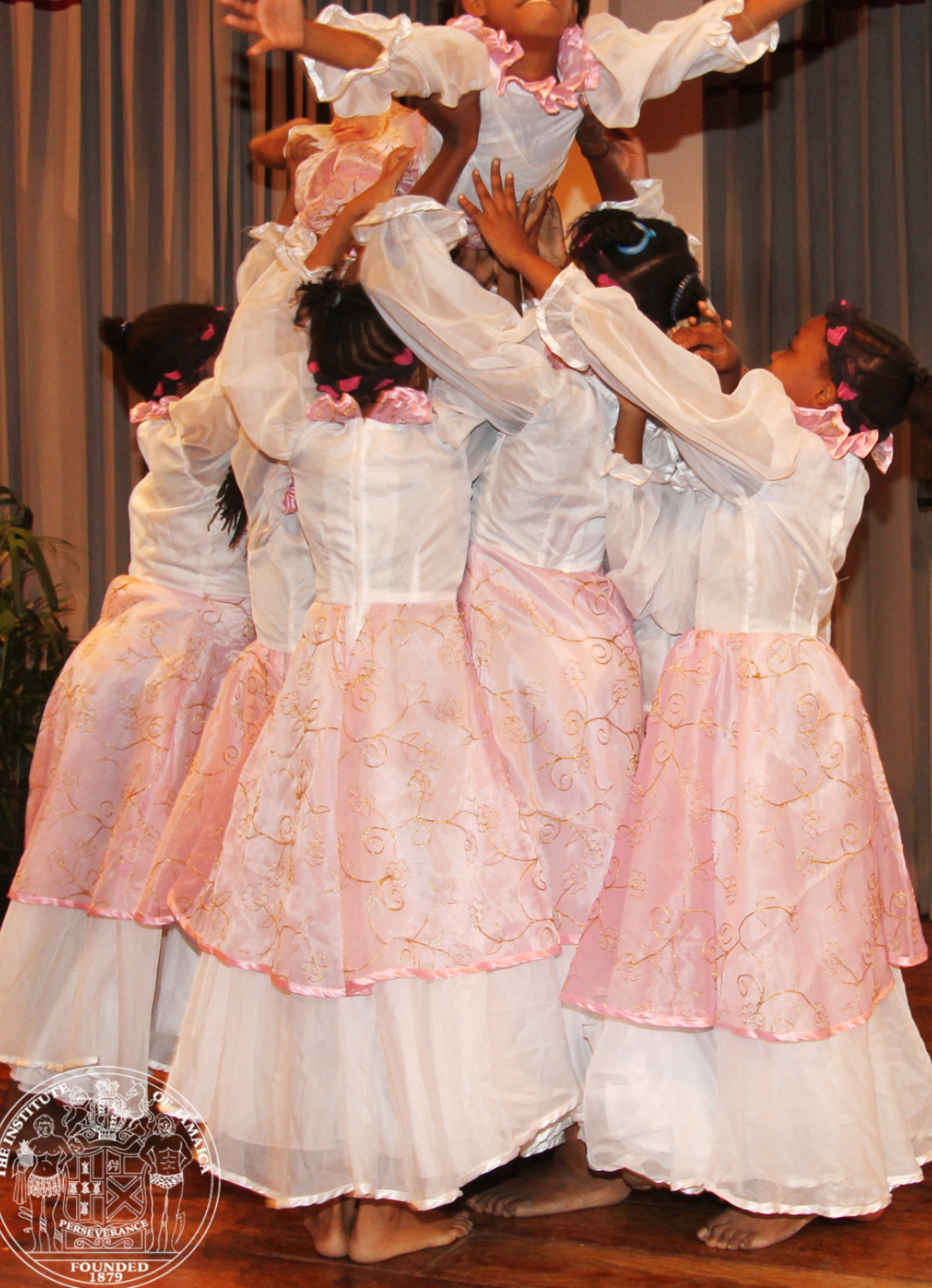 Institute Of Jamaica photo 1