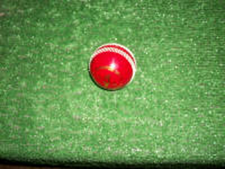 Courtney Walsh Sports Goods Ltd photo 5