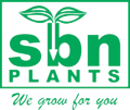 Seedburst Nurseries Ltd (S B N Plants) logo