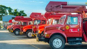 Barbados Light & Power Company Ltd The photo 4