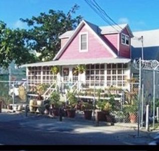 The Potting Shed photo 9
