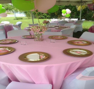 Premier Party Rentals photo 3