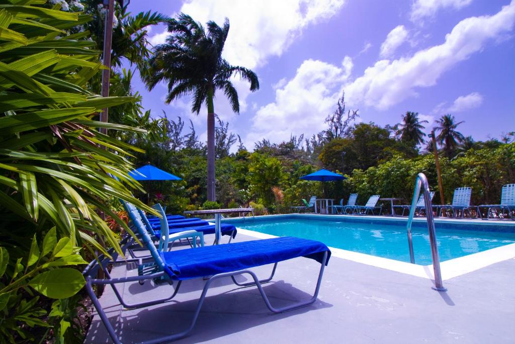 Palm Garden Hotel photo 7