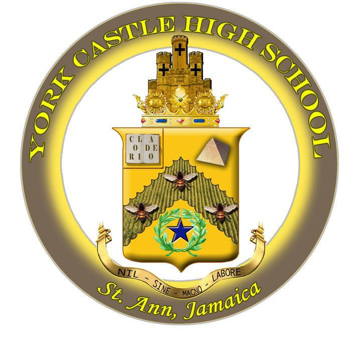 York Castle High School logo