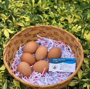 Golden Eggs Farms Ltd photo 5