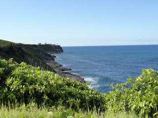 Homesites Barbados Ltd photo 4