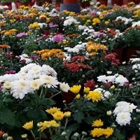 Agro Products Ltd photo 2