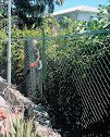 Green's Exterminating & Fencing Inc photo 7