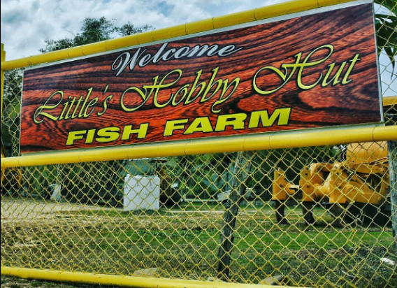 Little Hobby Hut Safari & Fish Farm photo 5