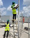 Green's Exterminating & Fencing Inc photo 5