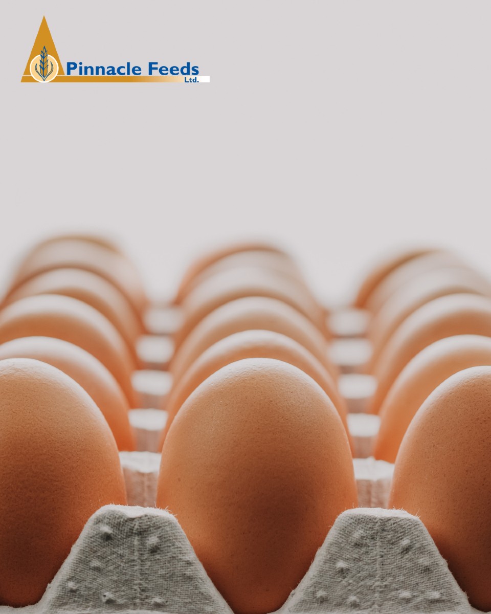 Pinnacle Feeds Ltd photo 8