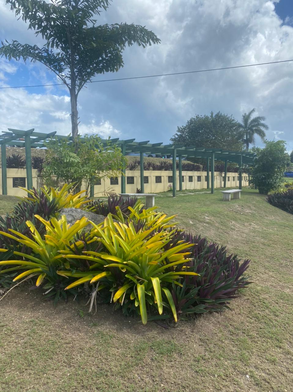 Madden's Funeral Home & Crematorium photo 6