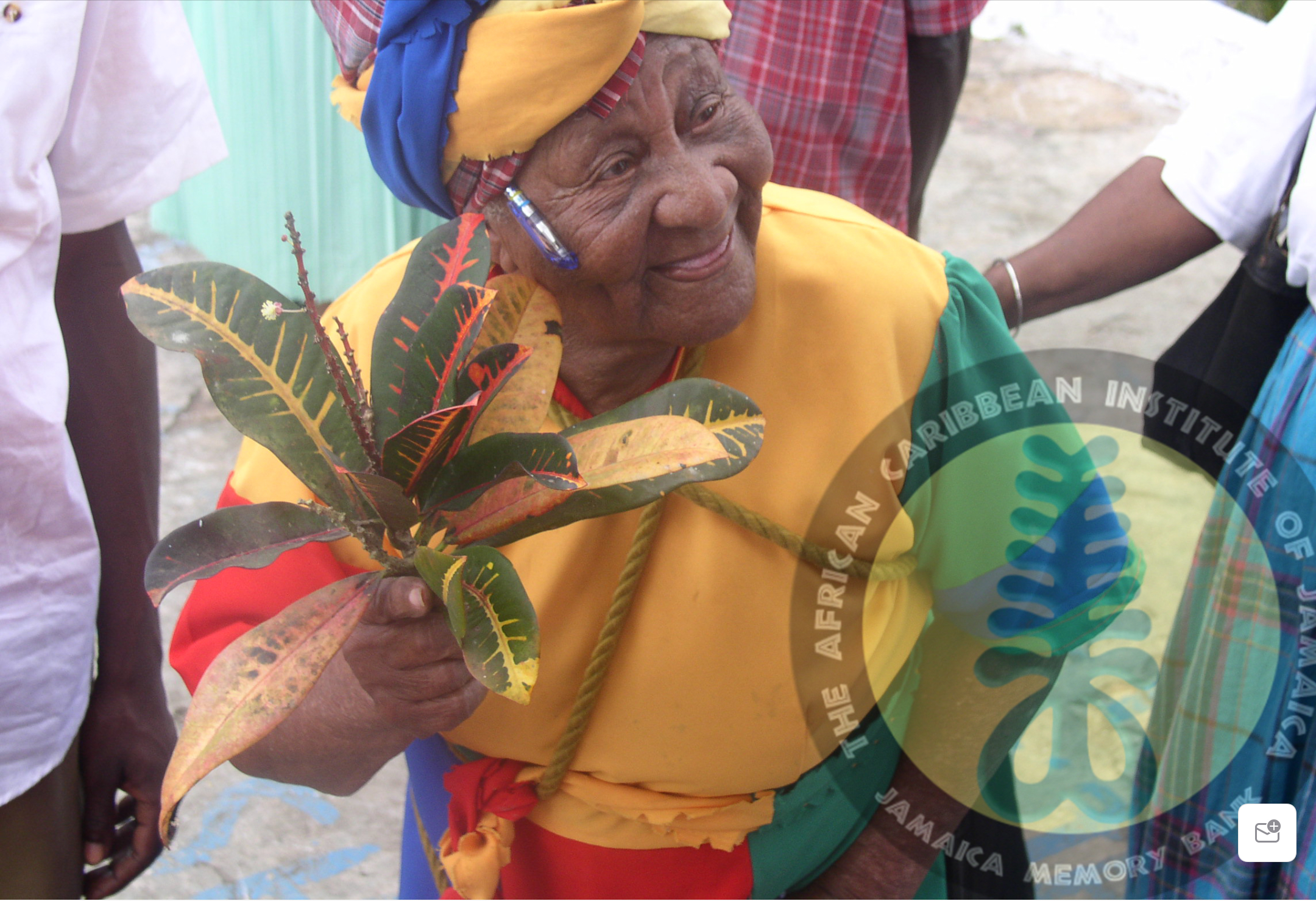 Institute Of Jamaica photo 4