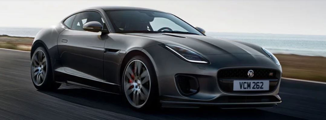 Jaguar photo 7