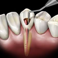 Palomos Dental Center photo 2